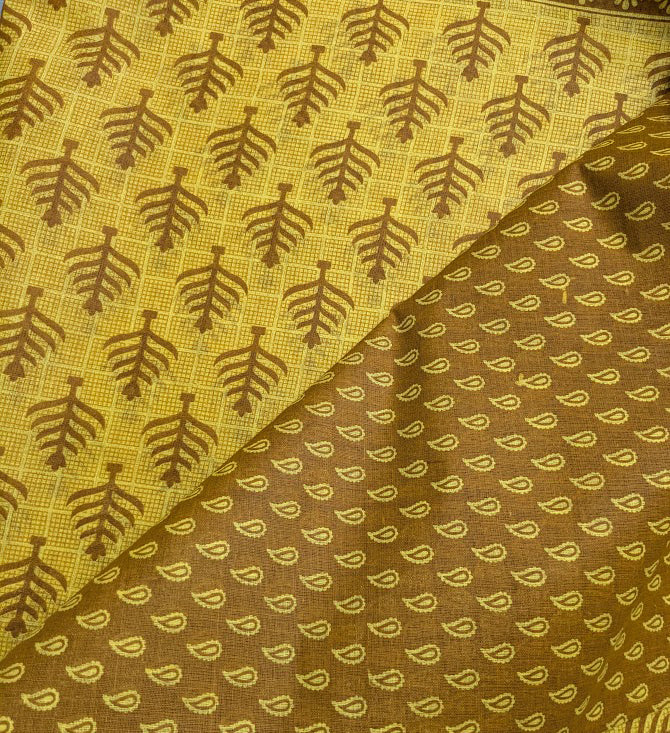 Pure Cotton Saree-01